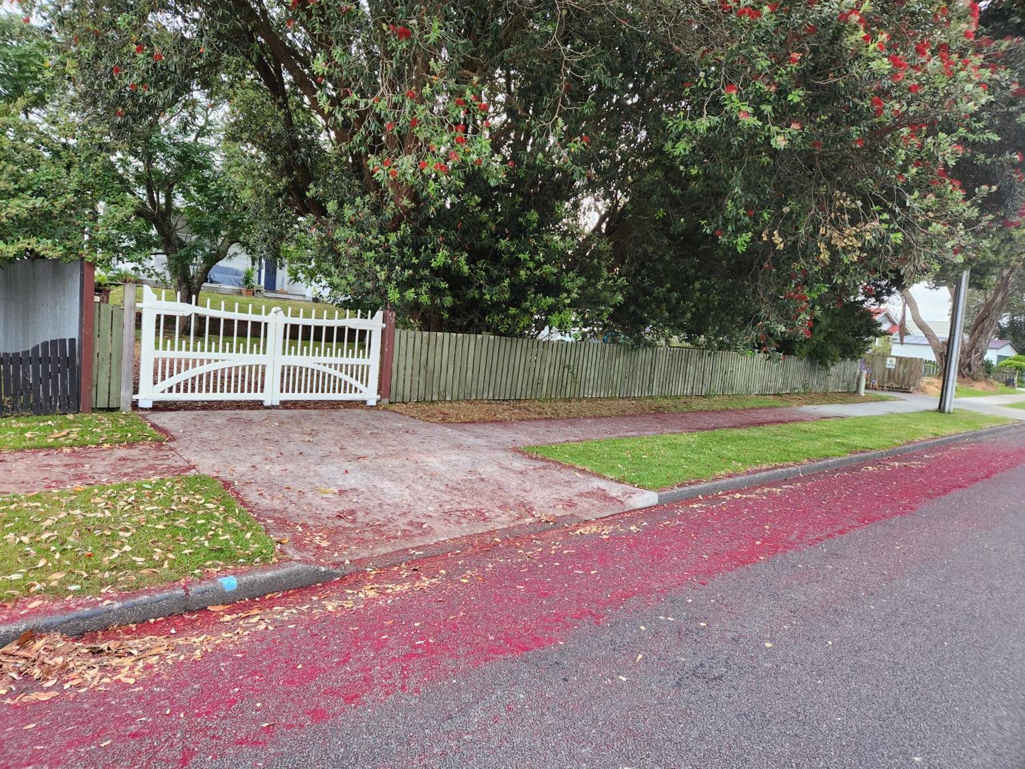 Quirky Villa Homestay Whanganui Exterior foto